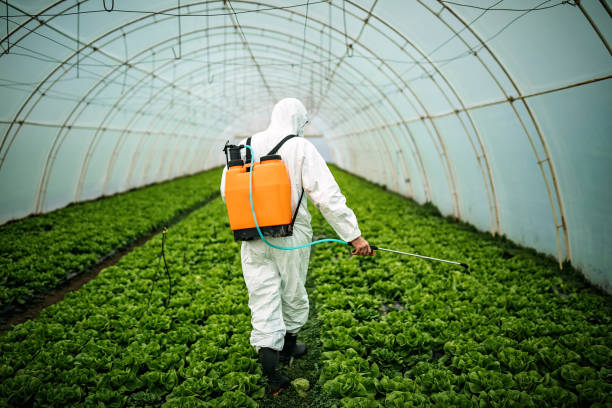 Best Ant Control Services  in Kelso, WA