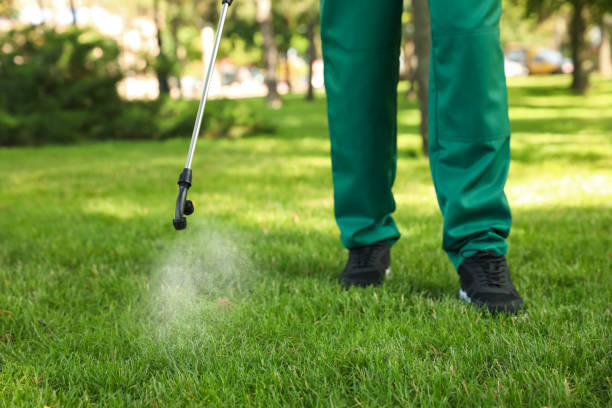 Best Emergency Pest Control  in Kelso, WA