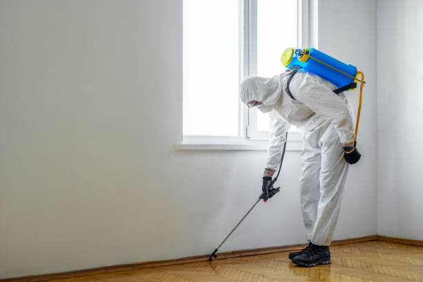 Best Mosquito Control Services  in Kelso, WA