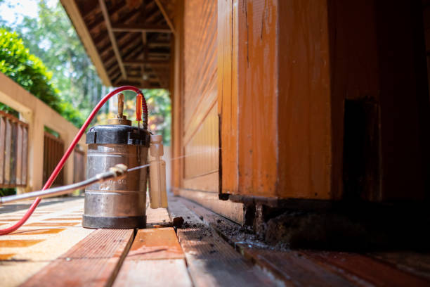 Best Wasp Removal Services  in Kelso, WA