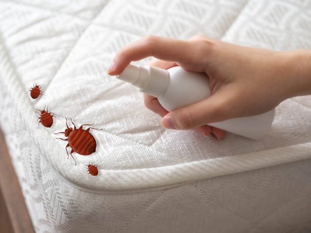 Best Pest Prevention Services  in Kelso, WA