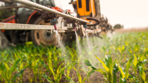 Best Best Pest Control Companies  in Kelso, WA
